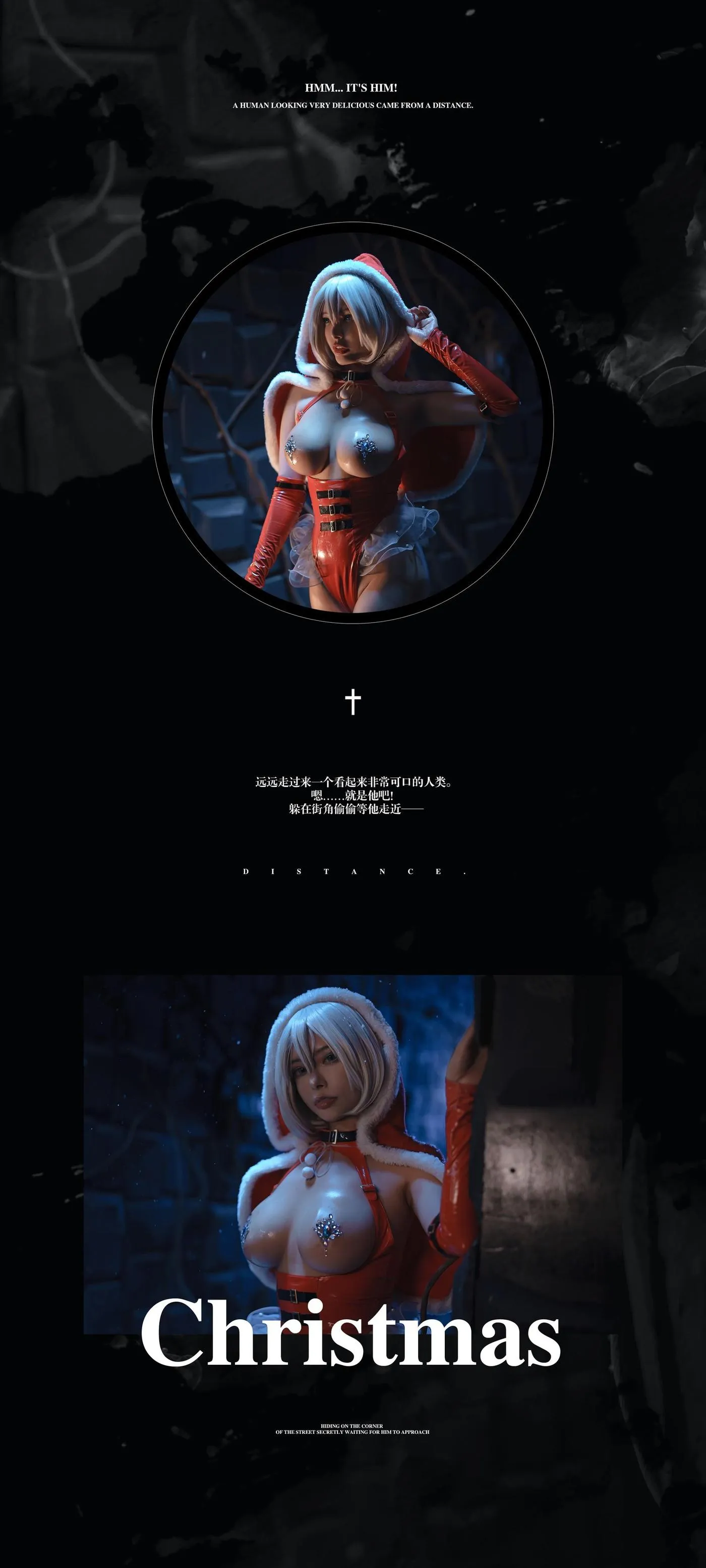 秋和柯基 – NO.99 圣诞2B [65P]插图
